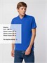 Рубашка поло мужская Spring 210, ярко-синяя (royal) 317259426