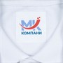 Рубашка поло мужская Phoenix Men, белая 2140091649