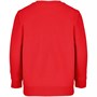 Свитшот детский Columbia Kids, красный 1255293046