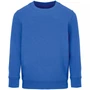 Свитшот детский Columbia Kids, ярко-синий (royal) 1160850284