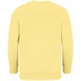 Свитшот детский Columbia Kids, светло-желтый 573933855