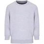 Свитшот детский Columbia Kids, серый меланж 2051935537