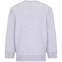 Свитшот детский Columbia Kids, серый меланж 2051935537