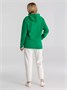 Толстовка с капюшоном унисекс Hoodie, зеленая 630131489