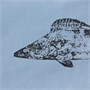 Худи Kulonga Oversize, серо-голубое 702641857