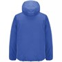 Куртка софтшелл с капюшоном мужская Falcon Men, ярко-синяя (royal) 515824003