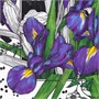 Платок шелковый Delicate, ирисы 666206404