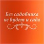 Кружка Good Morning с покрытием софт-тач, ver.2, оранжевая 827786739