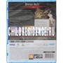 41000017154 Игра для PS5 PlayStation Shin Megami Tensei V: Vengeance Стандартное издани (16+) 1115282572