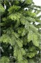 Beatrees Ель Emerald 3 м. - NP20HZ-BH100 1835474923