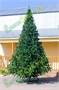 Green Trees Высокая Ель Рублевская 4.0 м. хвоя пленка - ЕР-400П 1852780251
