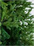 Green Trees Ель Финская Премиум 4.0 м. хвоя РЕ+PVC - ЕФП-4.0РP 1233527667