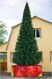 Green Trees Высотная Уличная Ель Альпийская 5.0 м. хвоя пленка - ЕА-500П 1256339859