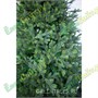 Green Trees Ель Сказочная Премиум 5.5 м. хвоя РЕ - ЕСП-5.5РЕ 2004021687