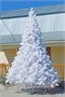 Green Trees Высокая Сосна Рублевская Белая 6.5 м. хвоя леска - СРБ-650Л 1371814228