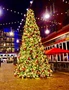 Green Trees Искусственная Сосна Евро-2 хвоя леска 7.0 м. - СЕ2-7.0Л 4972941