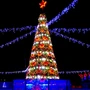 Green Trees Высокая Сосна Рублевская 8.0 м. хвоя леска - СР-800Л 285959727