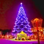 Green Trees Высотная Уличная Сосна Альпийская 12.0 м. хвоя леска - СА-1200Л 540965311