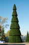 Green Trees Сегментная Ель Сибирская 30 м. хвоя пленка - СЕС-30П 1580028947
