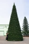 Green Trees Уличная Ель Испанская 12.0 м. хвоя пленка - КЕИ-12П 1271809092