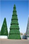 Green Trees Сегментная Сосна Сибирская 13 м. хвоя леска - ССС-13Л 1457899984