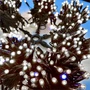Комплект освещения на Елку 4 м. Премиум Белый 1000 led ЕлкаСайт 1875071353