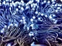 Комплект освещения на Елку 6 м. Классик Белый 1100 led, 24V ЕлкаСайт 1076722759