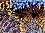Комплект освещения на Елку 9 м. Классик Белый/Теплый 3000 led ЕлкаСайт 1019891812