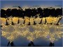 Комплект освещения на Елку 10 м. Велана 3400 led, 27 Снежинок 40 см. ЕлкаСайт 2064806851