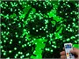 Комплект освещения на Елку 5 м. Хамелеон SMART RGB, 800 led, пульт, черный каучук, 24V ЕлкаСайт 828154203