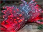 Гирлянда нить уличная 10м. 100 красных диодов статика, прозрачный силикон, IP65 - TM-100Sr CEIMAR 509630239