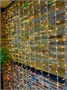 Светодиодный занавес уличный 2x2м. 320 теплых диодов, с мерцанием, белый каучук, IP65 - CH22Bww CEIMAR 22185728