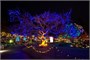 Гирлянда Нить Клип Лайт 60м. 600 белых диодов, зеленый пвх - 602-LED600W IP44 LEON LED (LIGHT) 1748066671
