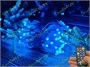 Гирлянда нить уличная 10м. 100 диодов SMART RGB, пульт, белый каучук - CMR-100521B IP65 CEIMAR 152478704
