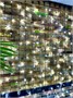 Светодиодный занавес уличный 2x2м. 289 белых диодов, черный каучук - A289LGS-W-BK IP65 LEON LED (LIGHT) 1601722754