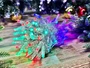 Гирлянда нить уличная 10м. 100 диодов Хамелеон RG/RB, прозрачный силикон, IP65 -TMX-100Srg/rb CEIMAR 49516001