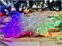 Гирлянда нить уличная 10м. 100 диодов Хамелеон RG/RB, прозрачный силикон, IP65 -TMX-100Srg/rb CEIMAR 49516001
