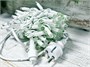 Гирлянда нить уличная 10м. 100 фиолетовых диодов, с мерцанием, белый каучук, IP65 - XMF100v CEIMAR 1721190955