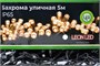 Светодиодная бахрома уличная 5x0.7м. 150 белых диодов, с мерцанием, черный каучук, IP65 - 9352Hwf LEON LED (LIGHT) 1053785350