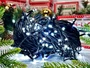 Гирлянда Нить Клип Лайт 20м. 200 белых диодов, с мерцанием, черный каучук, IP45 - 5222Hw LEON LED (LIGHT) 516466709