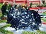 Гирлянда Нить Клип Лайт 20м. 200 белых диодов, с мерцанием, черный каучук, IP45 - 5222Hw LEON LED (LIGHT) 516466709