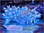 Гирлянда нить уличная 10м. 100 синих диодов с мерцанием, прозрачный силикон, 24V, IP65 - CMR 205-519Tbf CEIMAR 949805650