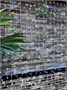 Светодиодный занавес уличный 2x10м. 1700 белых диодов статика, белый каучук, IP65 - 21710Bw ЕлкаСайт 321820320