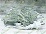 Гирлянда нить уличная 10м. 100 теплых диодов, с мерцанием, прозрачный силикон, IP65 - TMX-100Sww CEIMAR 2122957182