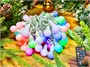 Гирлянда нить уличная 10м. 80 диодов SMART RGB (шар 2,3 см.), пульт, белый каучук, IP65 - CMK-Q525B CEIMAR 2071686490