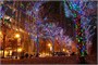 Гирлянда Нить Клип Лайт 60м. 600 синих диодов, зеленый пвх - 601-LED600B IP44 LEON LED (LIGHT) 1198382616