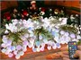 Гирлянда нить уличная 60 м. 480 диодов SMART RGB (шар 2,3 см.), пульт, белый каучук, IP65 - 60-Q525B CEIMAR 623040601