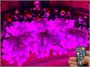 Гирлянда нить уличная 60 м. 480 диодов SMART RGB (шар 2,3 см.), пульт, белый каучук, IP65 - 60-Q525B CEIMAR 623040601