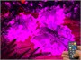 Гирлянда нить уличная 30 м. 240 диодов SMART RGB (шар 2,3 см.), пульт, белый каучук, IP65 - 30-Q525B CEIMAR 860144170
