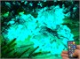 Гирлянда нить уличная 30 м. 240 диодов SMART RGB (шар 2,3 см.), пульт, белый каучук, IP65 - 30-Q525B CEIMAR 860144170